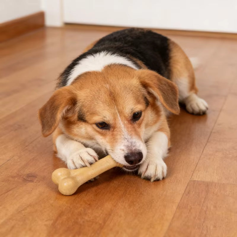 Durable Wood-Fiber Dog Chew Bone