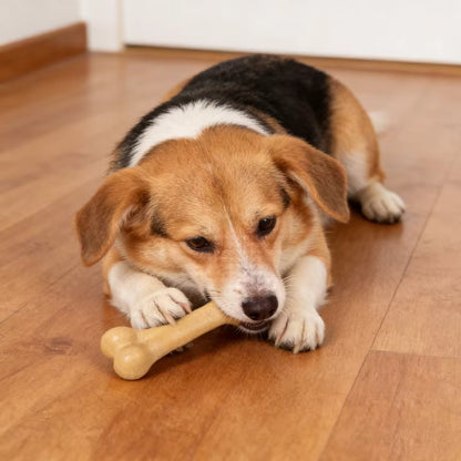 Durable Wood-Fiber Dog Chew Bone