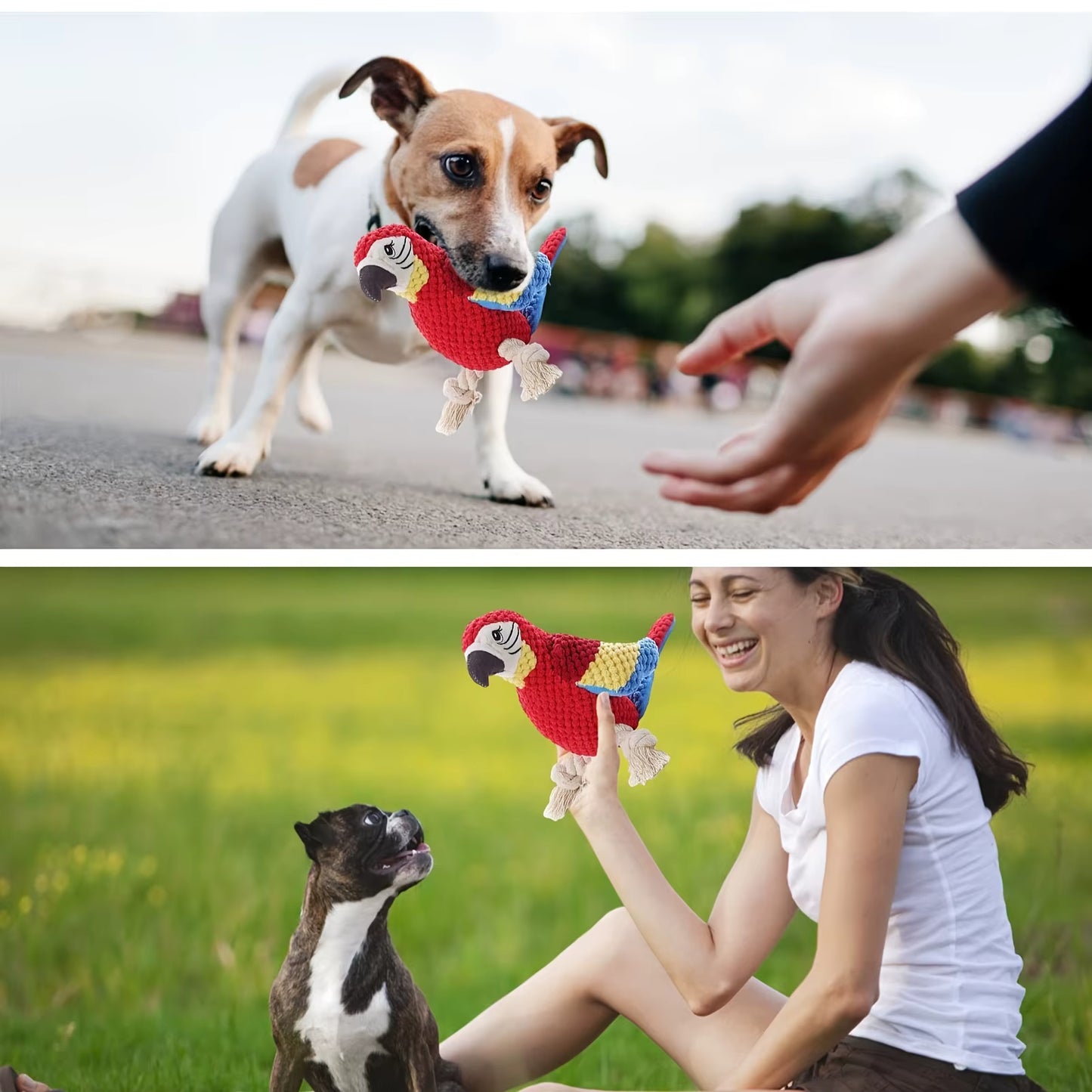 ThePetzStore™ Interactive Squeaky Parrot Plush & Rope Dog Toy