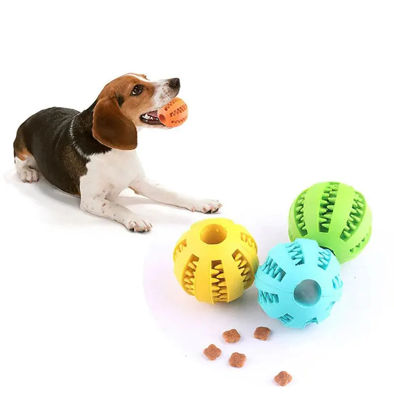 Dental-Treat Interactive Tooth-Cleaning Ball