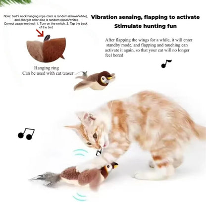 Interactive Spring Feather Cat Teaser