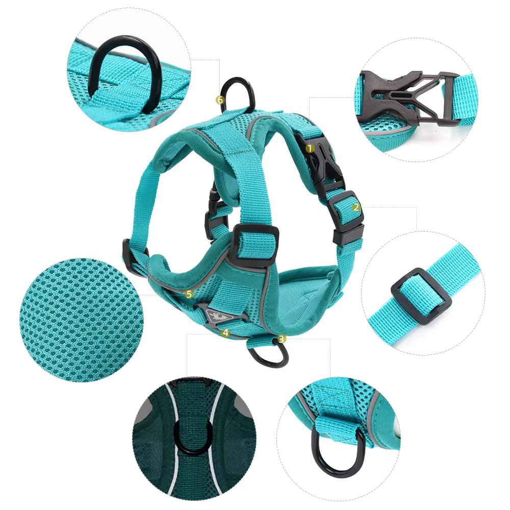 No-Pull Breathable Mesh Dog Harness & Leash Set