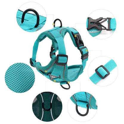 No-Pull Breathable Mesh Dog Harness & Leash Set