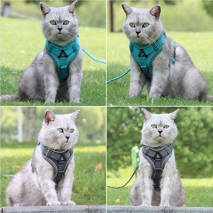 No-Pull Breathable Mesh Dog Harness & Leash Set