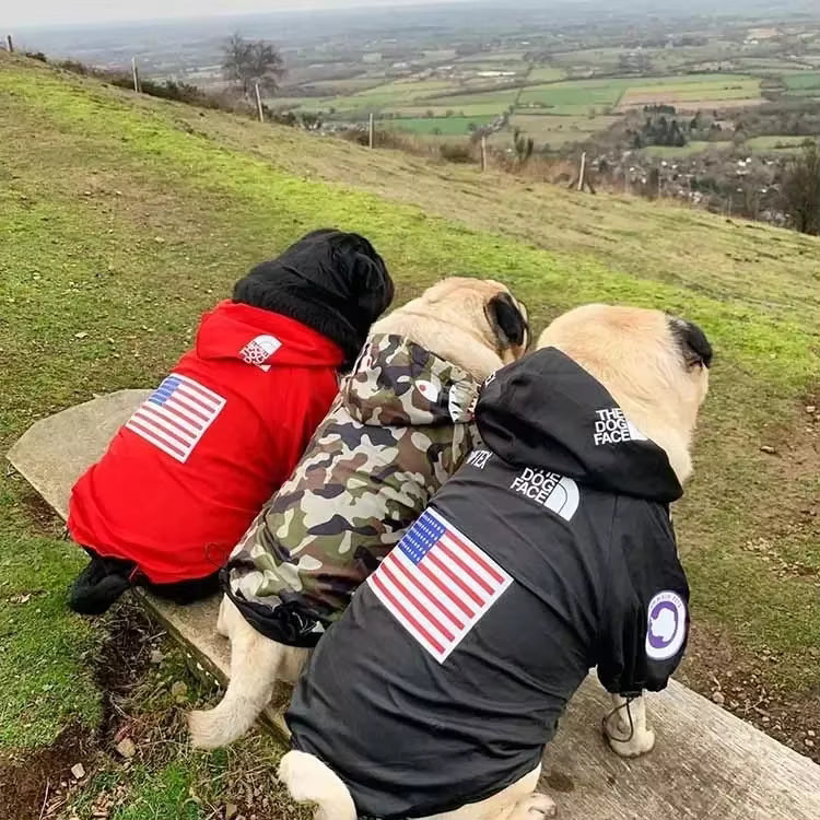 Alpine Waterproof Windbreaker Dog Jacket