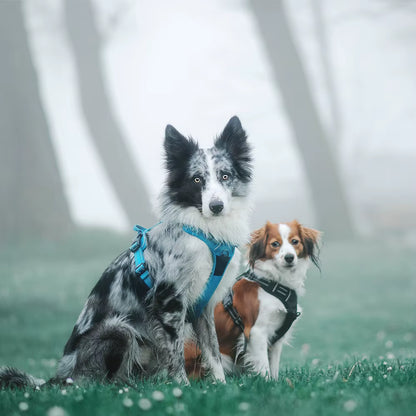 Truelove No-Pull Reflective Dog Harness – Breathable & Padded with Handle