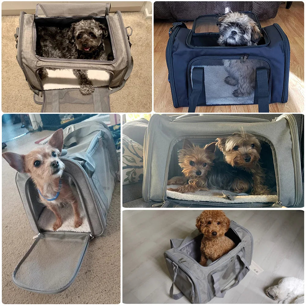 ThePetzStore™ Expandable Pet Travel Backpack