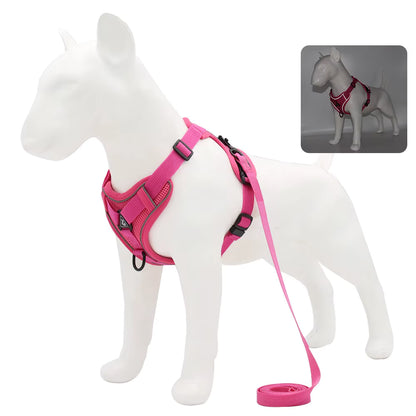 No-Pull Breathable Mesh Dog Harness & Leash Set