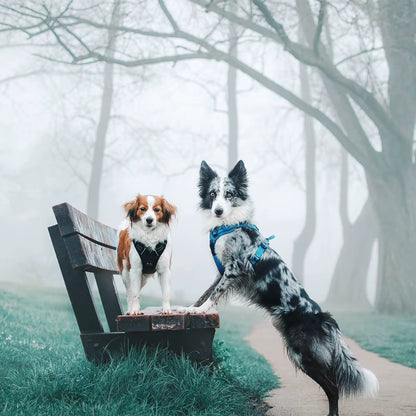 Truelove No-Pull Reflective Dog Harness – Breathable & Padded with Handle