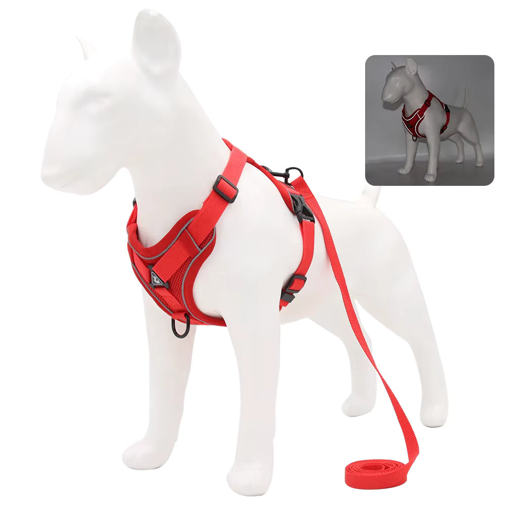 No-Pull Breathable Mesh Dog Harness & Leash Set