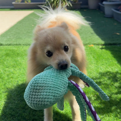 Textured Squeaky Octopus