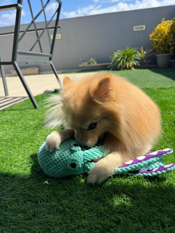 Textured Squeaky Octopus