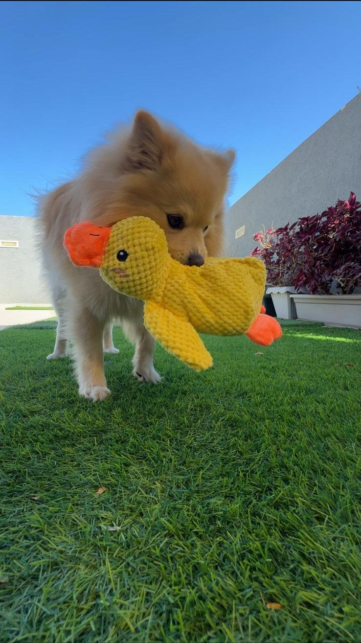 ThePetzStore™ Quack-Relax™ Anti-Anxiety Duck – Soothing Comfort Toy