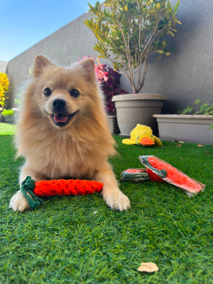 ThePetzStore™ Dental-Chew™ Natural Cotton Carrot🥕✨