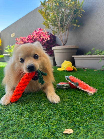 ThePetzStore™ Dental-Chew™ Natural Cotton Carrot🥕✨